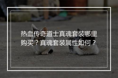 热血传奇道士真魂套装哪里购买？真魂套装属性如何？
