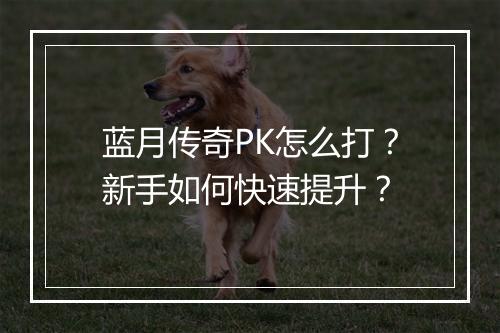 蓝月传奇PK怎么打？新手如何快速提升？