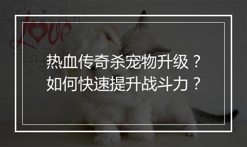 热血传奇杀宠物升级？如何快速提升战斗力？