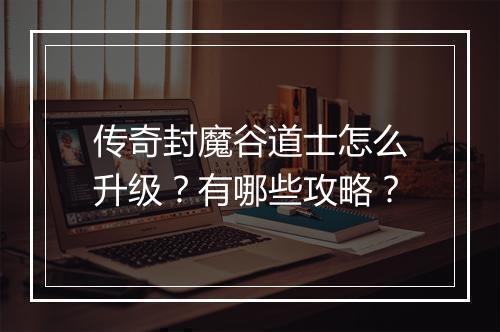 传奇封魔谷道士怎么升级？有哪些攻略？