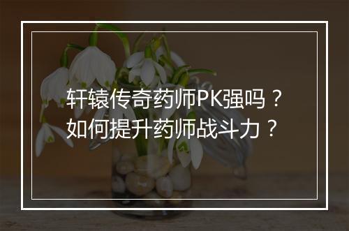 轩辕传奇药师PK强吗？如何提升药师战斗力？
