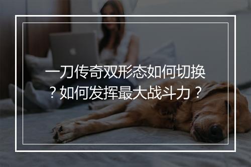 一刀传奇双形态如何切换？如何发挥最大战斗力？