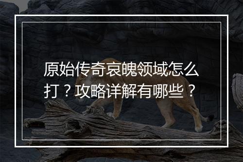 原始传奇哀魄领域怎么打？攻略详解有哪些？