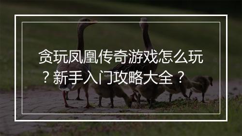 贪玩凤凰传奇游戏怎么玩？新手入门攻略大全？