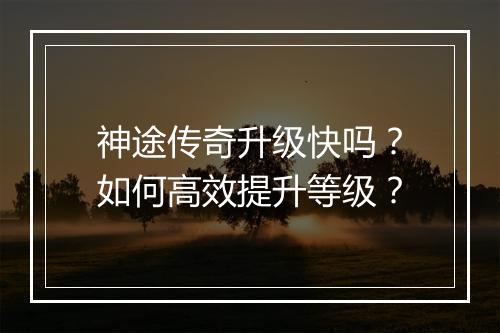 神途传奇升级快吗？如何高效提升等级？