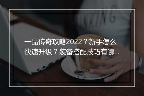 一品传奇攻略2022？新手怎么快速升级？装备搭配技巧有哪些？