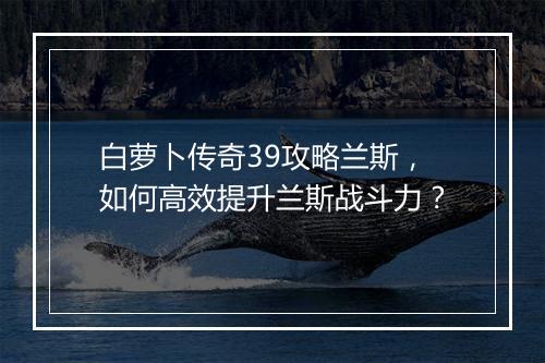 白萝卜传奇39攻略兰斯，如何高效提升兰斯战斗力？
