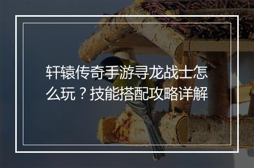 轩辕传奇手游寻龙战士怎么玩？技能搭配攻略详解