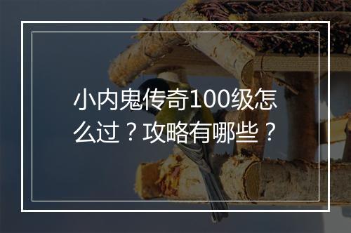 小内鬼传奇100级怎么过？攻略有哪些？