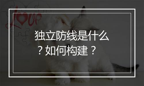 独立防线是什么？如何构建？