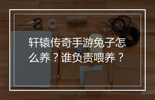 轩辕传奇手游兔子怎么养？谁负责喂养？