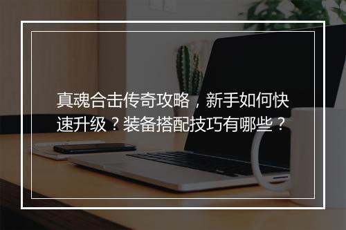 真魂合击传奇攻略，新手如何快速升级？装备搭配技巧有哪些？