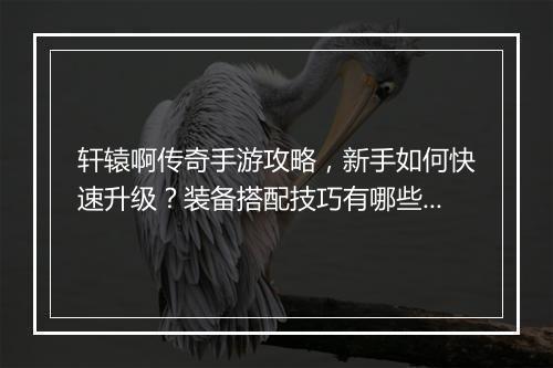 轩辕啊传奇手游攻略，新手如何快速升级？装备搭配技巧有哪些？