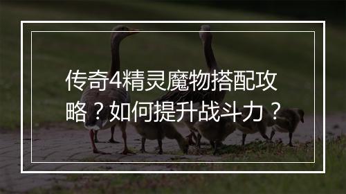 传奇4精灵魔物搭配攻略？如何提升战斗力？