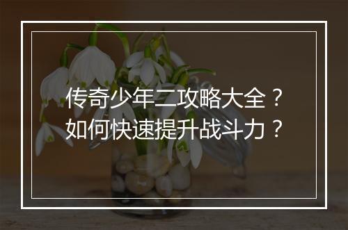 传奇少年二攻略大全？如何快速提升战斗力？