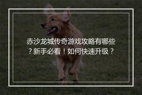 赤沙龙城传奇游戏攻略有哪些？新手必看！如何快速升级？