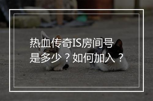 热血传奇IS房间号是多少？如何加入？