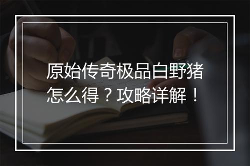 原始传奇极品白野猪怎么得？攻略详解！
