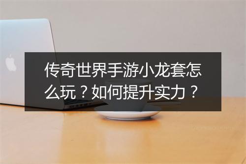 传奇世界手游小龙套怎么玩？如何提升实力？