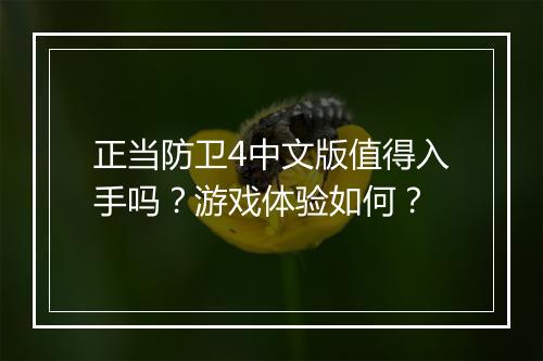 正当防卫4中文版值得入手吗？游戏体验如何？