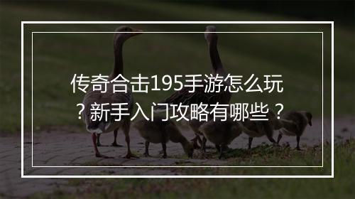 传奇合击195手游怎么玩？新手入门攻略有哪些？