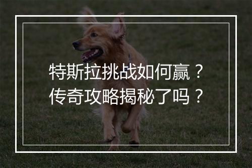特斯拉挑战如何赢？传奇攻略揭秘了吗？