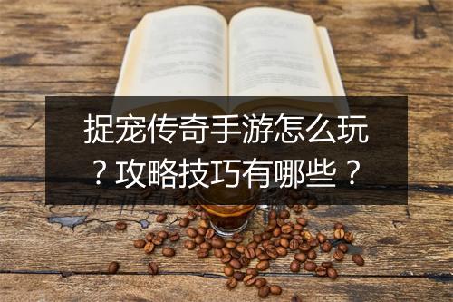 捉宠传奇手游怎么玩？攻略技巧有哪些？