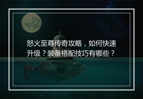 怒火至尊传奇攻略，如何快速升级？装备搭配技巧有哪些？