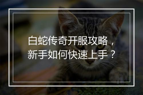 白蛇传奇开服攻略，新手如何快速上手？