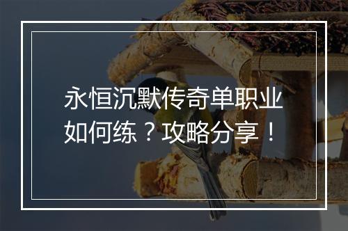 永恒沉默传奇单职业如何练？攻略分享！
