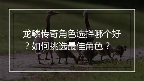 龙鳞传奇角色选择哪个好？如何挑选最佳角色？