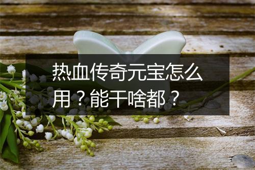 热血传奇元宝怎么用？能干啥都？