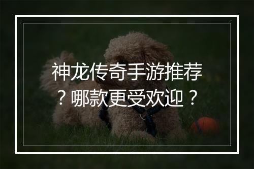 神龙传奇手游推荐？哪款更受欢迎？