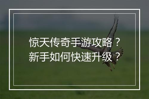 惊天传奇手游攻略？新手如何快速升级？