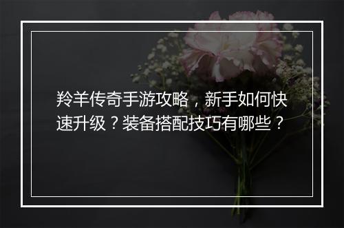 羚羊传奇手游攻略，新手如何快速升级？装备搭配技巧有哪些？