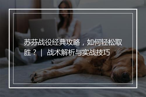 苏芬战役经典攻略，如何轻松取胜？｜ 战术解析与实战技巧