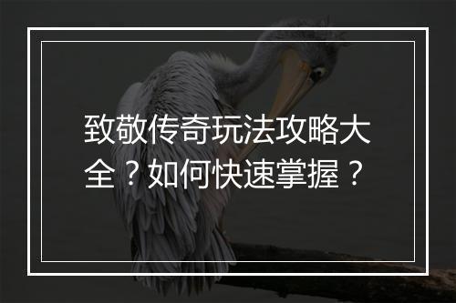 致敬传奇玩法攻略大全？如何快速掌握？
