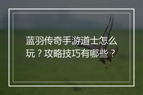 蓝羽传奇手游道士怎么玩？攻略技巧有哪些？