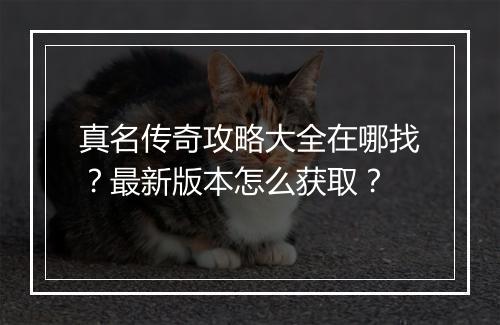 真名传奇攻略大全在哪找？最新版本怎么获取？