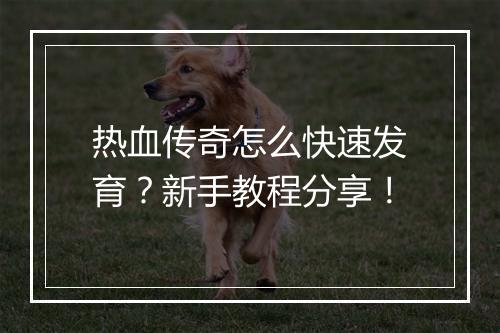 热血传奇怎么快速发育？新手教程分享！