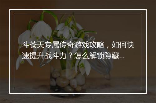 斗苍天专属传奇游戏攻略，如何快速提升战斗力？怎么解锁隐藏技能？