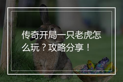 传奇开局一只老虎怎么玩？攻略分享！