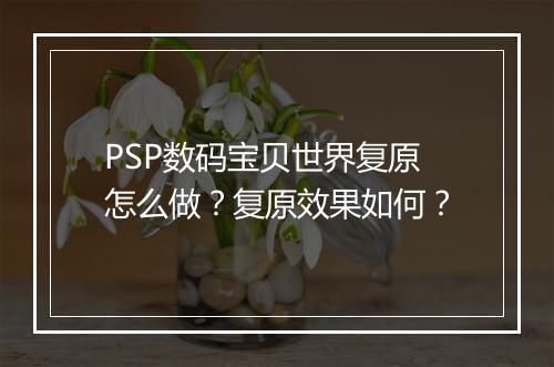 PSP数码宝贝世界复原怎么做？复原效果如何？