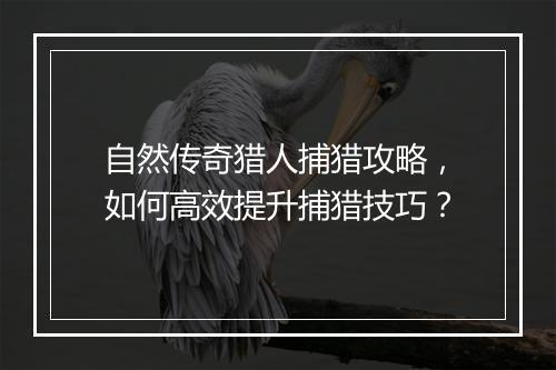 自然传奇猎人捕猎攻略，如何高效提升捕猎技巧？