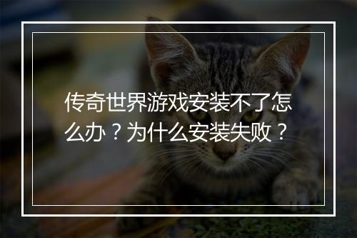 传奇世界游戏安装不了怎么办？为什么安装失败？