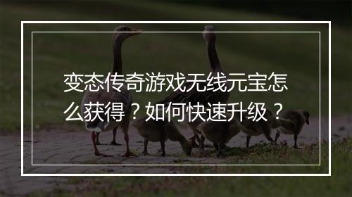 变态传奇游戏无线元宝怎么获得？如何快速升级？