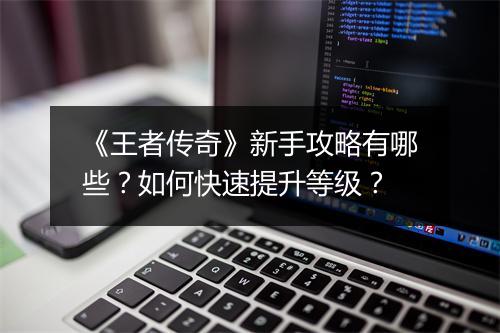 《王者传奇》新手攻略有哪些？如何快速提升等级？