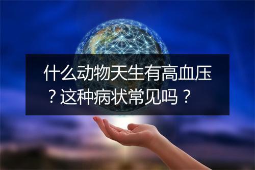 什么动物天生有高血压？这种病状常见吗？
