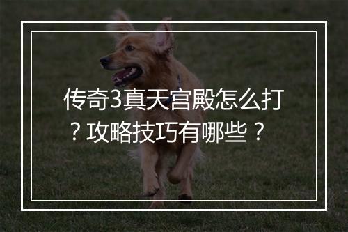 传奇3真天宫殿怎么打？攻略技巧有哪些？