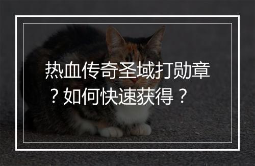 热血传奇圣域打勋章？如何快速获得？
